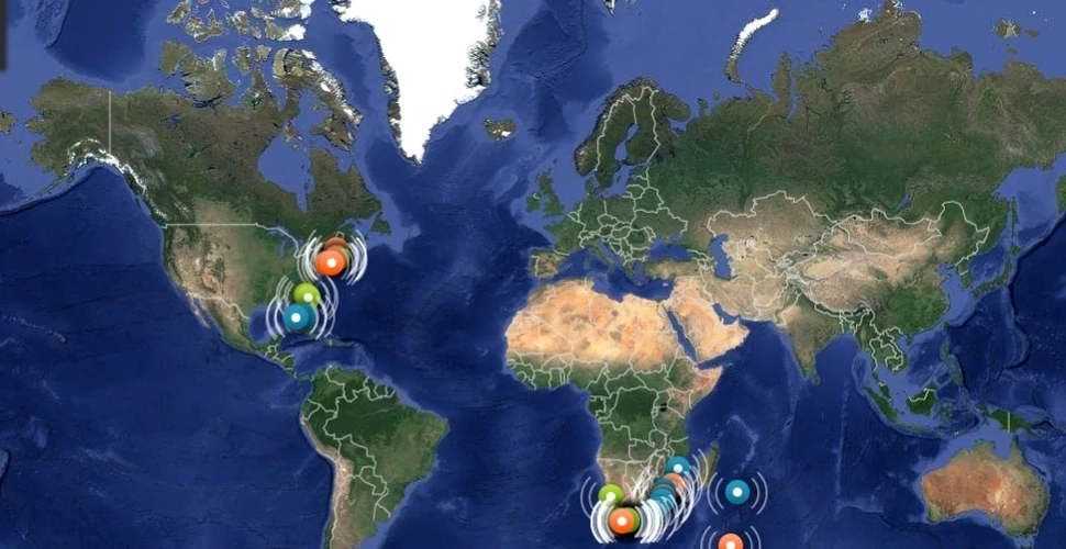Oare unde se „plimbă” rechinii? O nouă hartă interactivă ne permite să urmărim fiecare mişcare a acestor creaturi marine