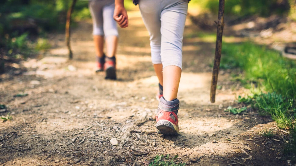 Cum a supraviețuit un copil de opt ani două zile în pădure după ce s-a rătăcit de părinți?