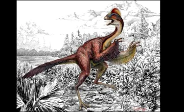 „Găina din iad”: oamenii de ştiinţă au descoperit o creatură preistorică „realmente bizară”