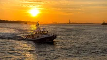 Balenele cu cocoașă din largul coastei New York-ului, în pericol din cauza navelor