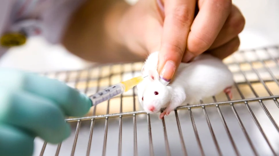Caz neobişnuit de variolă. O femeie s-a infectat cu acest virus în timpul unor experimente