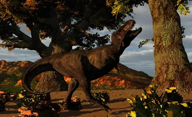 Un nou studiu scoate la iveală un fapt inedit despre T. rex: conformaţia nu îi permitea să alerge. Cum a reuşit să fie un prădător de top?