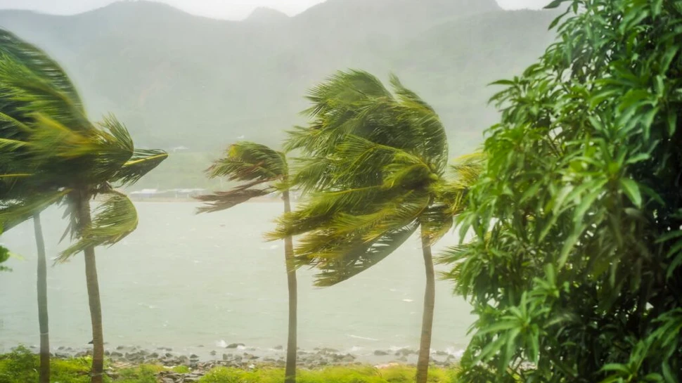 Test de cultură generală. De ce uraganele nu pot trece de linia ecuatorului?