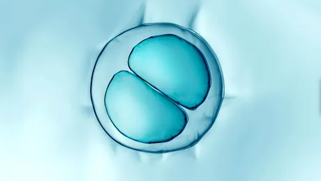 Apneea în somn ar putea fi tratată prin injecții cu celule stem