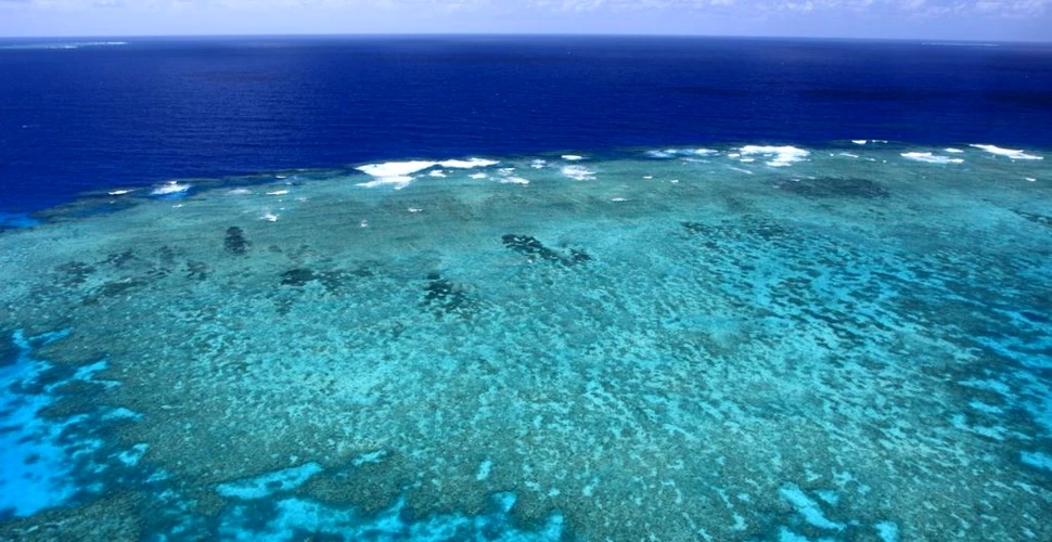 Australia se opune încadrării Marii Bariere de Corali în categoria siturilor „în pericol”