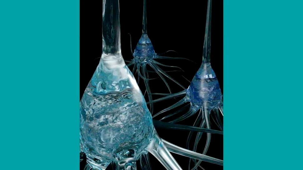 Ca în „Matrix”: un electrod ultrafin ne-ar putea conecta creierul la computer