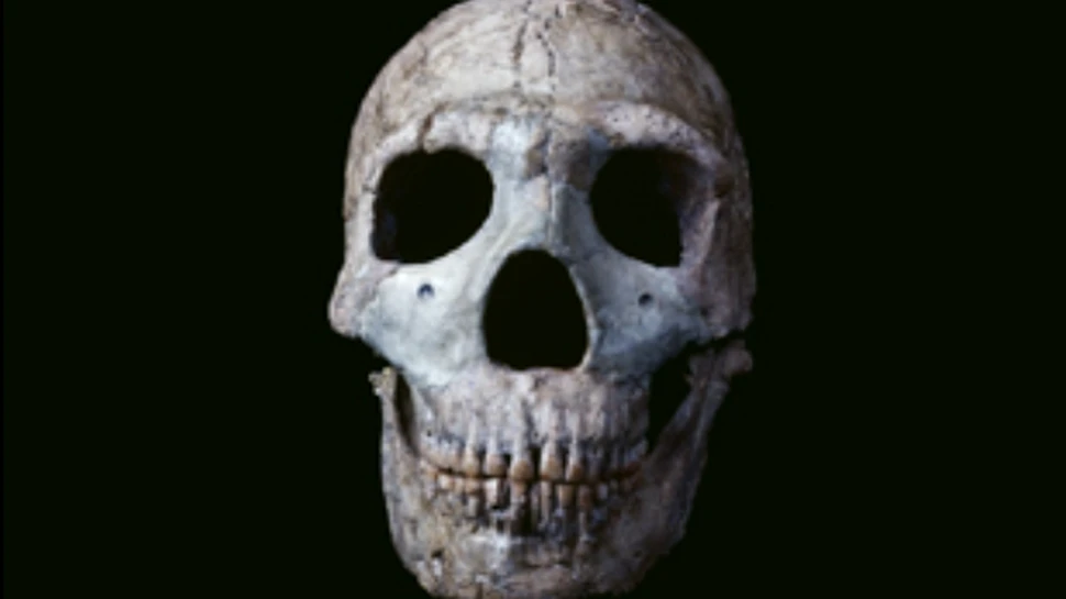 Omul de Neanderthal a vorbit din nou