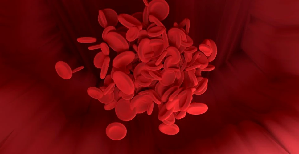 Grăsimea din jurul arterelor poate contribui la sănătatea vaselor de sânge