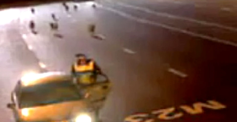 Atacul incredibil al lupilor pe autostrada (VIDEO)