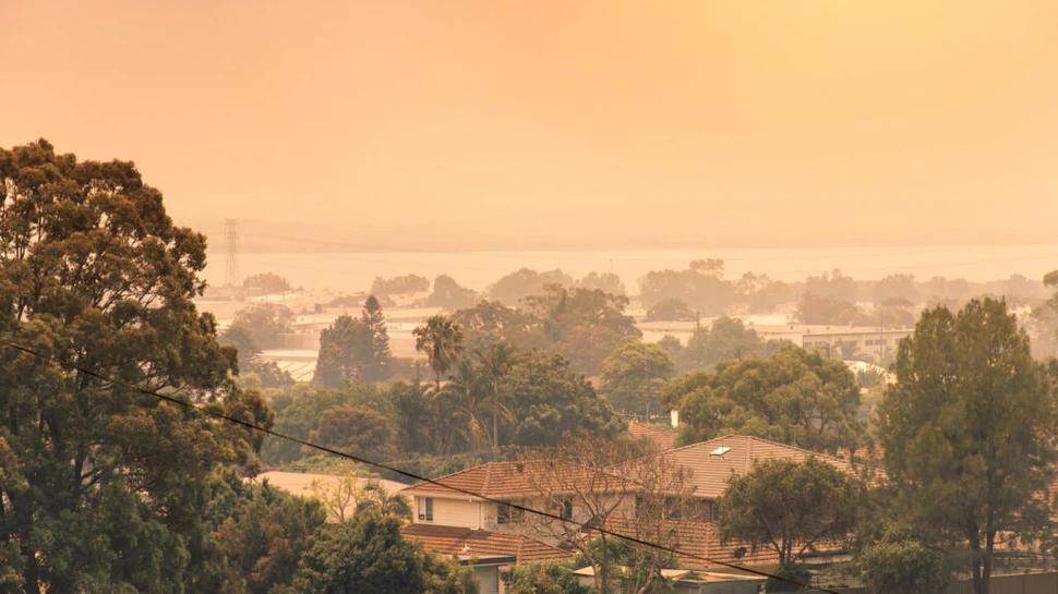 Cum se simt valurile de căldură din Australia? „Este ca un agresor”