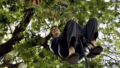 738 de zile într-un copac: Povestea lui Julia Butterfly Hill. Protest împotriva defrișărilor