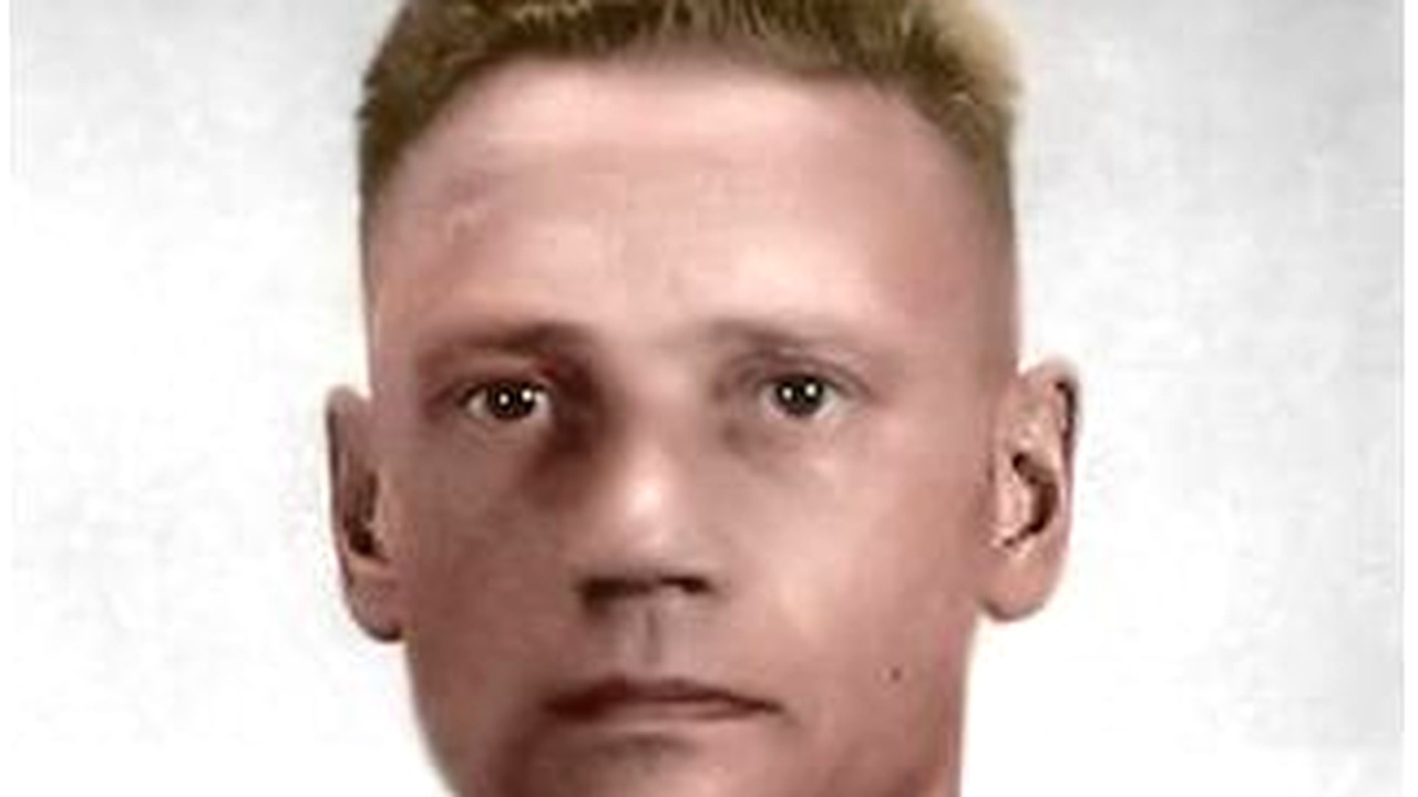 Hovawart