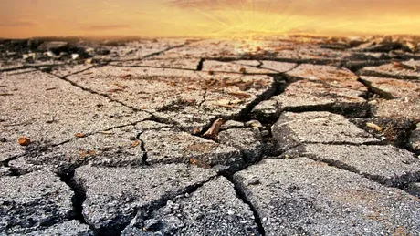 Test de cultură generală. Mai putem opri schimbările climatice?