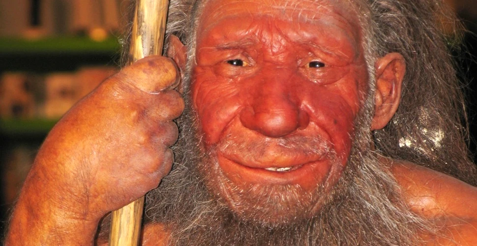 Excremente vechi de 50.000 de ani schimbă ceea ce se ştia până acum despre omul de Neanderthal