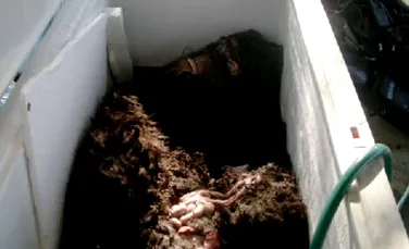 A fost descoperit un cadavru de Bigfoot