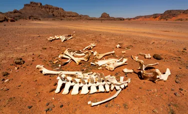Un grup necunoscut de oameni a trăit în Sahara cu 7.000 de ani în urmă