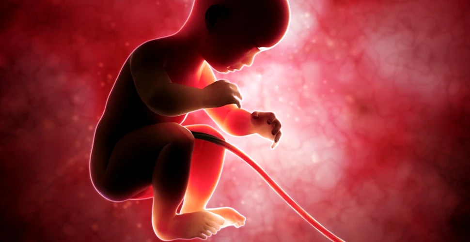 Marea Britanie a dat liber, în PREMIERĂ mondială, la modificarea genetică a embrionilor umani