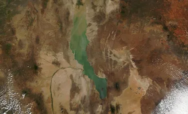 De ce atât de multe fosile ale strămoșilor noștri au fost găsite în Africa de Est?