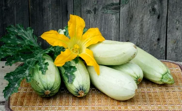 Test de cultură generală. Care este diferența dintre zucchini și castravete?