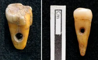 Dinţi umani folosiţi ca bijuterii preistorice, descoperiţi în Turcia