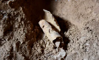 O nouă analiză a descoperit un al doilea autor misterios al unuia dintre Manuscrisele de la Marea Moartă