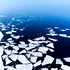 Gheața din Antarctica a scăzut la un nivel „uluitor”, avertizează experții