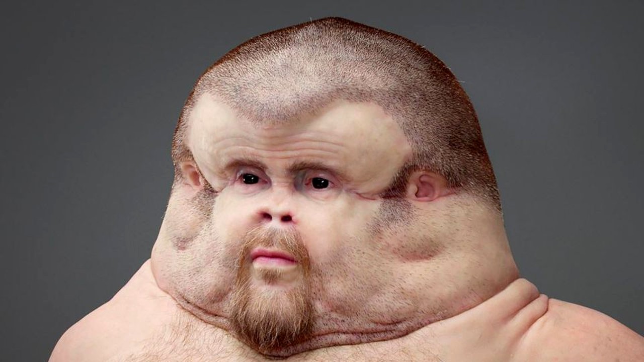 Hovawart