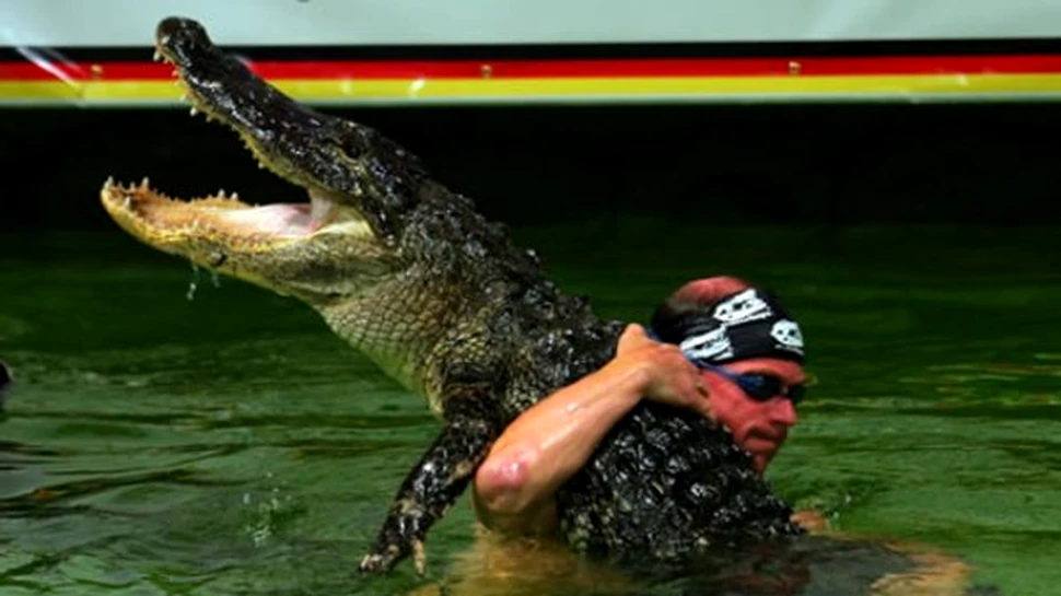 Tribul Seminole doreste resuscitarea trantelor cu aligatori (FOTO)