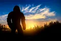 Un cercetător crede că există o explicație simplă pentru fenomenul Bigfoot