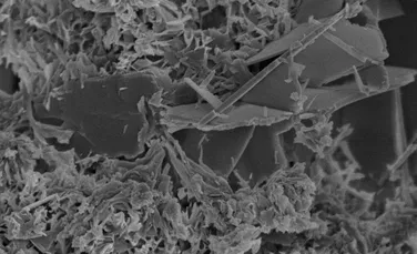 Mineral rar din betonul roman, găsit într-o centrală nucleară japoneză