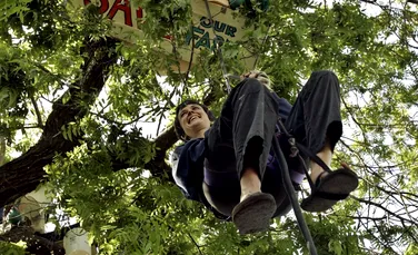 738 de zile într-un copac: Povestea lui Julia Butterfly Hill. Protest împotriva defrișărilor