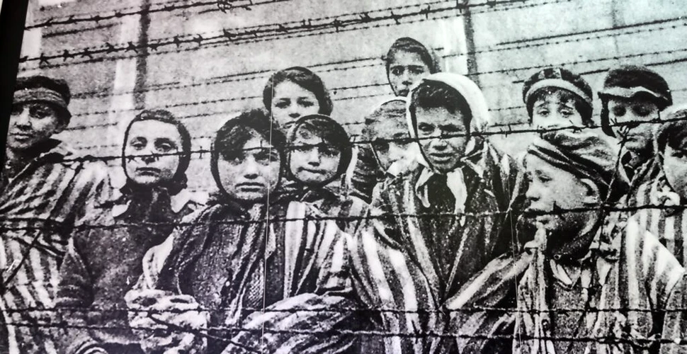 Vioara care a sfidat Auschwitz. Cum a salvat-o muzica pe Anita Lasker-Wallfisch