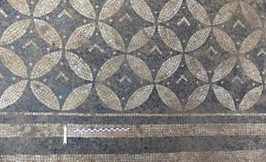 Un mozaic galo-roman, de excepție, a fost găsit sub grajdul unui castel