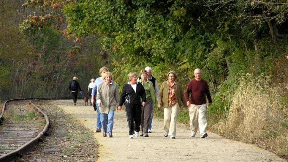 Plimbările în aer liber duc la dezvoltarea unei anumite regiuni a creierului. Rezultatele sunt impresionante