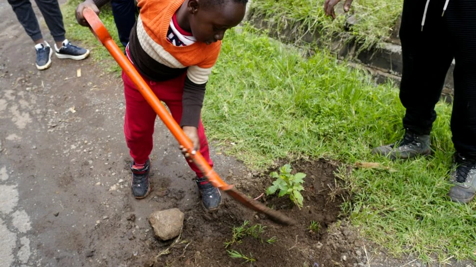 „Vacanță specială” în Kenya: Guvernul îndeamnă oamenii să planteze copaci