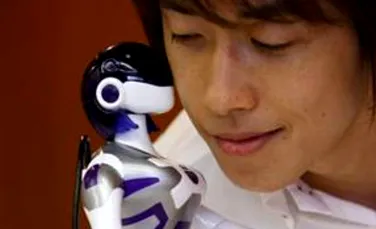 Partenere robot pentru japonezii singuri