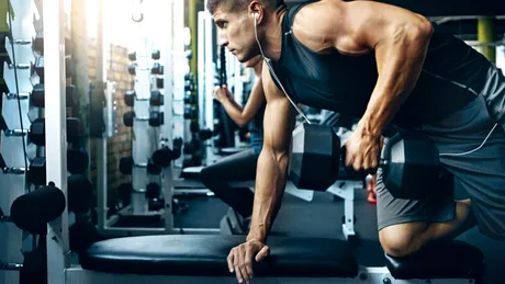 Care este legătura dintre noua strategie de „maximizare a aspectului fizic” folosită de tineri și bovinele crescute pentru carne?