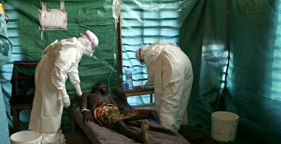 În curând, am putea dispune de un vaccin eficace împotriva virusului Ebola