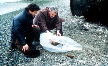 Twin Peaks: ce se știe și nu se știe despre unul dintre cele mai populare producții TV. Mihail Gorbaciov i-a cerut lui George Bush să afle cine era criminalul Laurei Palmer