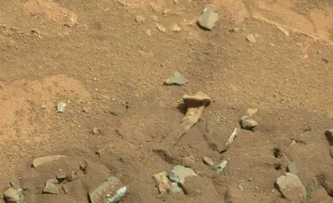 Un mit demontat. Osul uman de pe Marte este, de fapt, o rocă modelată de intemperii