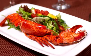 Canabis pentru „a destinde” homarii înainte de gătire