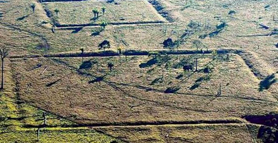 Arheologii au descoperit o civilizaţie necunoscută cu ajutorul Google Earth