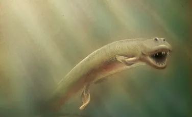 A fost descoperită „veriga lipsă”! Această creatură bizară este strămoşul comun al peştilor şi al animalelor terestre (FOTO/VIDEO)