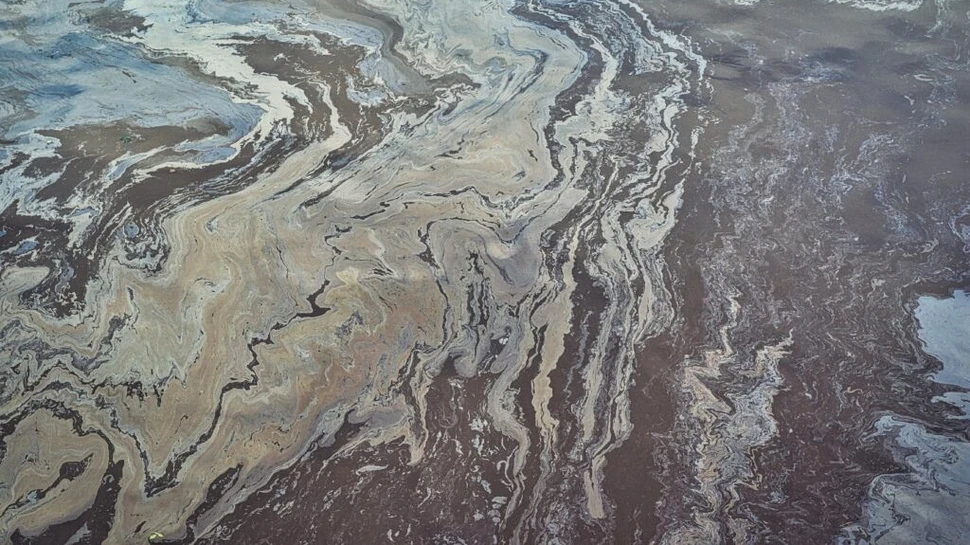 Cel puțin șapte rezervații naturale din Mexic, afectate de o deversare masivă de petrol