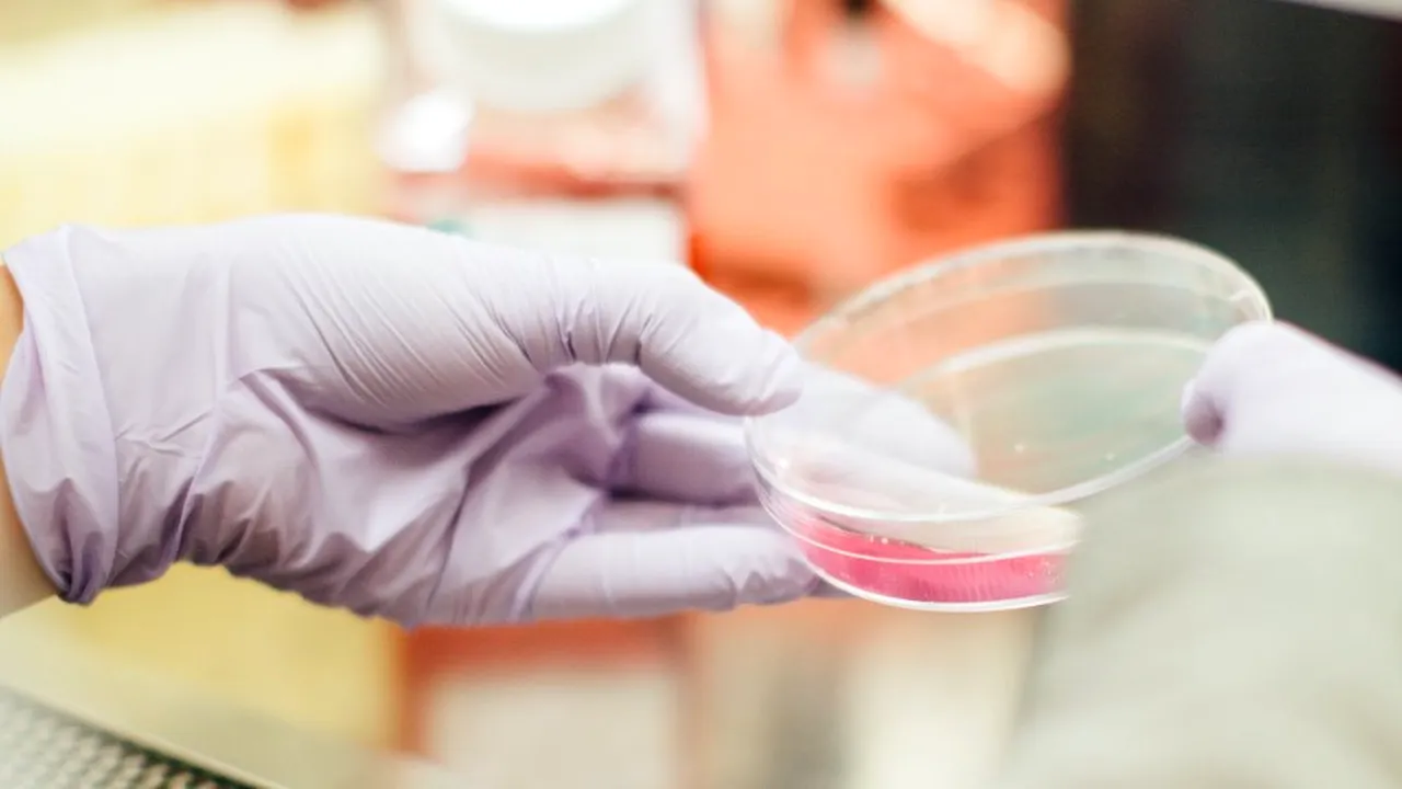 1-antibiotice-unsplash-2 