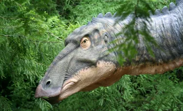 Vânătorii de fosile au dezgropat noi specii de dinozauri. Detaliile oferite de cercetători