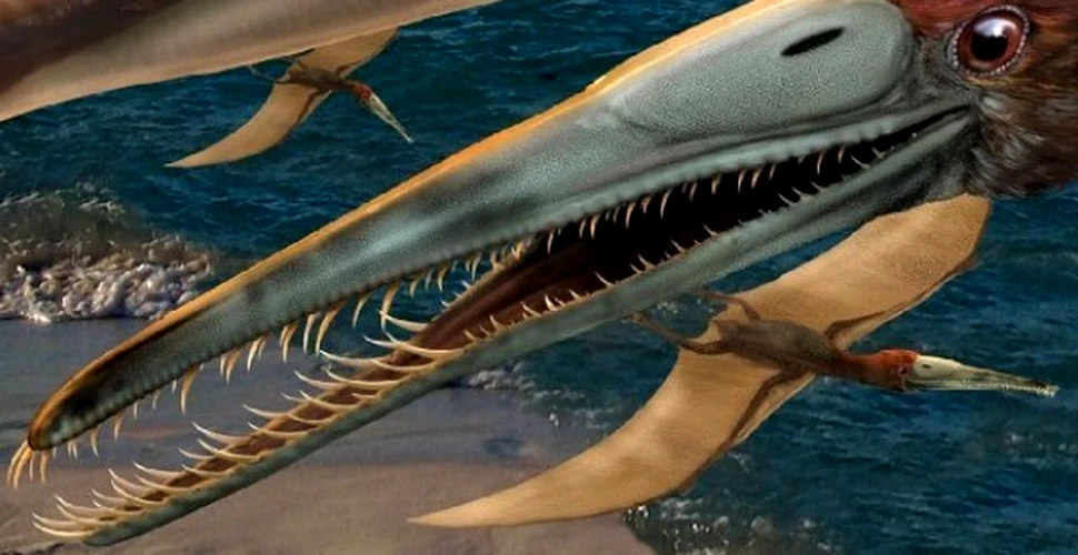 Un vanator de fosile a descoperit o uriasa reptila zburatoare