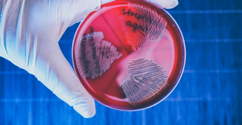 Creștere alarmantă în Japonia! O bacterie rară care poate provoca moartea în 48 de ore