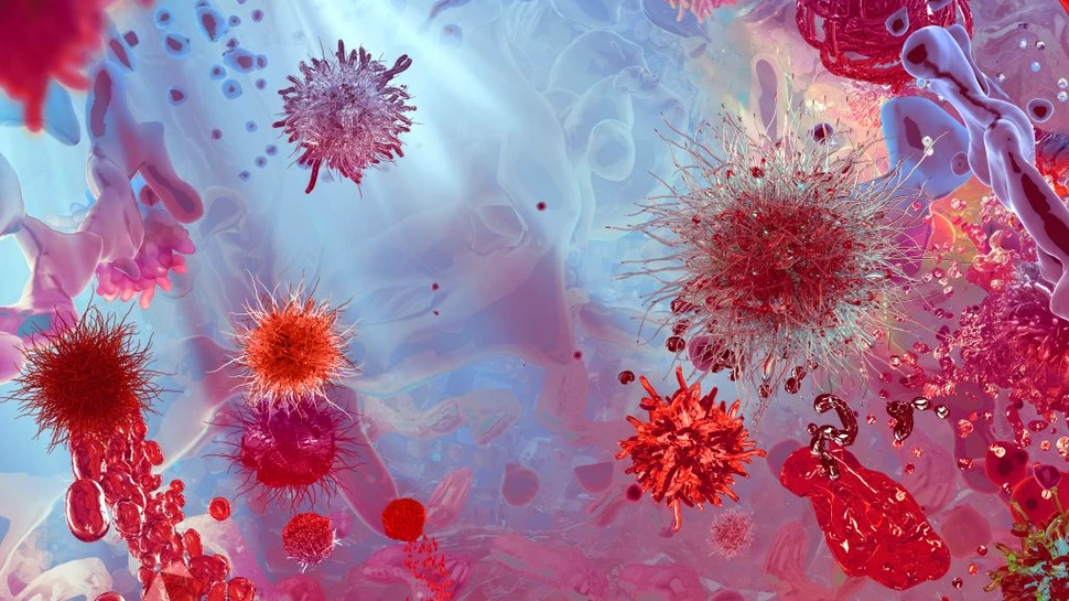 Medicii din Israel susțin că au descoperit cum să inverseze procesul de îmbătrânire celulară