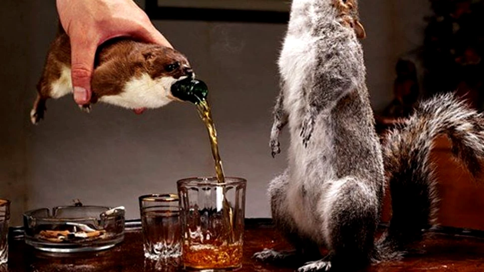 Una dintre cele mai scumpe beri din lume este servită într-o veveriţă moartă